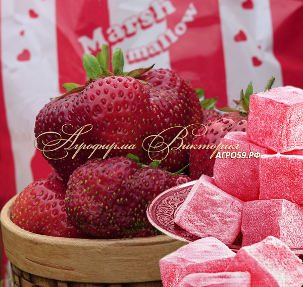 Клубника МАРШМЕЛЛОУ ("Marshmallow", Пастила, Великобритания) Клубника МАРШМЕЛЛОУ ("Marshmallow", Пастила, Великобритания)