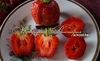 Клубника ЦАРСКОСЕЛЬСКАЯ (Россия)