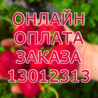 ОПЛАТА ЗАКАЗА 13012313
