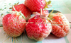 Strawberry БУББЛЬБЕРРИ ("Bubbleberry", Голландия)