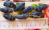Жимолость СИЛЬГИНКА (Россия, Томск) (КРУПНОМЕР! ОГРОМНЫЙ КУСТ, УРОЖАЙ В ГОД ПОСАДКИ)