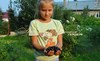Смородина ДОБРЫНЯ (Россия, Брянск) (КРУПНОМЕР! ОГРОМНЫЙ КУСТ, УРОЖАЙ В ГОД ПОСАДКИ)