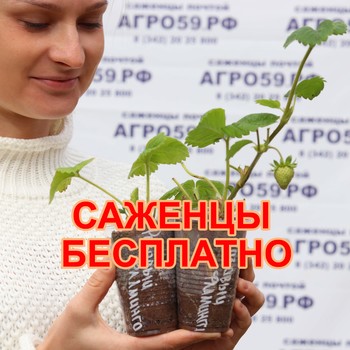 БЕСПЛАТНЫЕ САЖЕНЦЫ ПОЧТОЙ