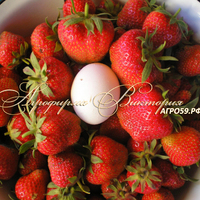 Клубника ВИМА ТАРДА Клубника ВИМА ТАРДА