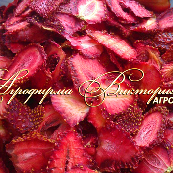 Сорта клубники