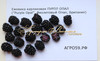 Ежевика карликовая ПУРПЛ ОПАЛ ("Purple Opal", Фиолетовый Опал, Британия) (КРУПНОМЕР! ОГРОМНЫЙ КУСТ, УРОЖАЙ В ГОД ПОСАДКИ)