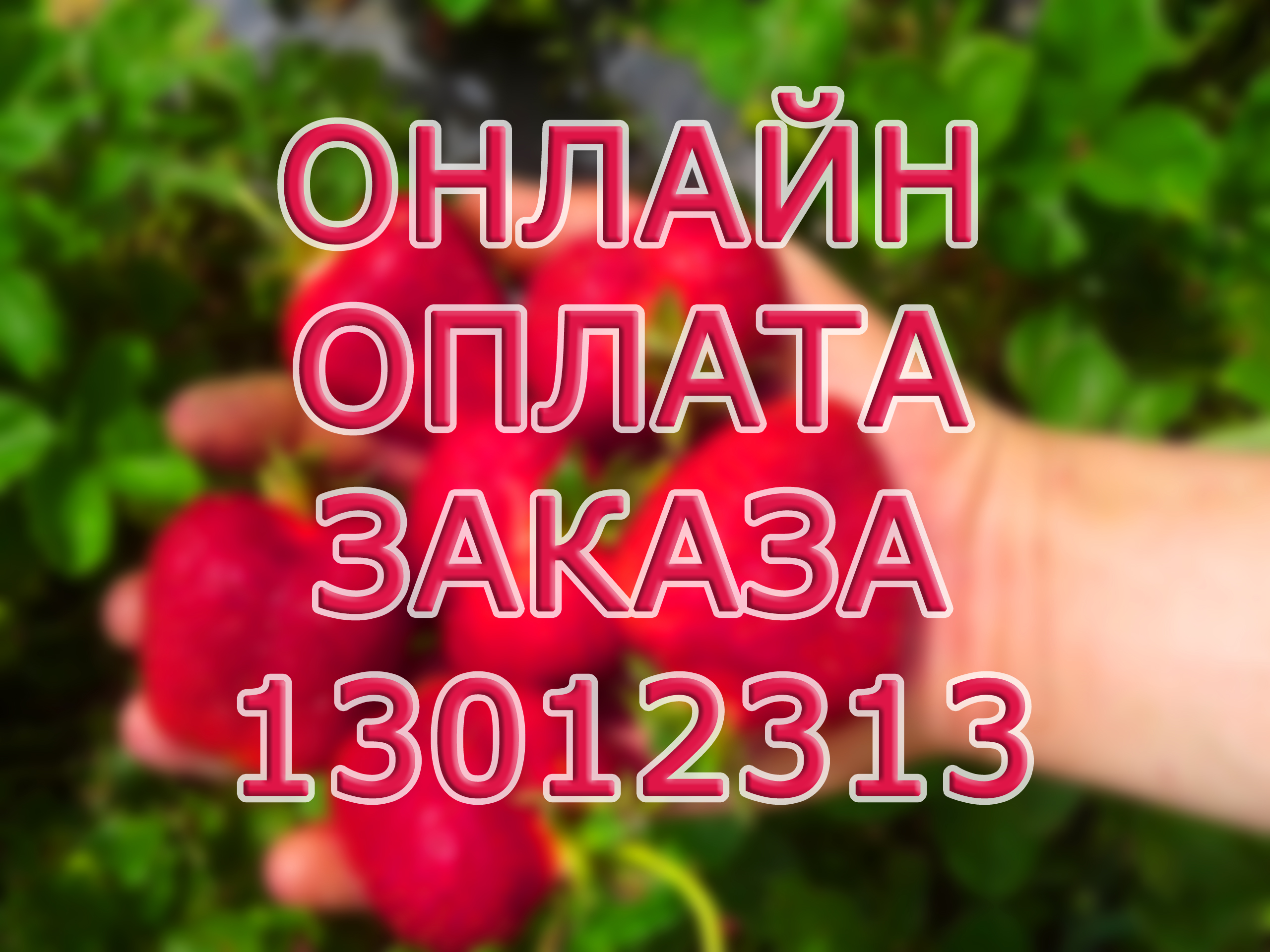 ОПЛАТА ЗАКАЗА 13012313